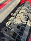 Empacadora gigant - Massey Ferguson - mf 2170 tc
