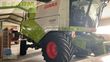 Cosechadora de Cereal - Claas - tucano 560 montana