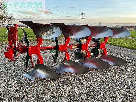 Arado - Vogel & Noot - m 950