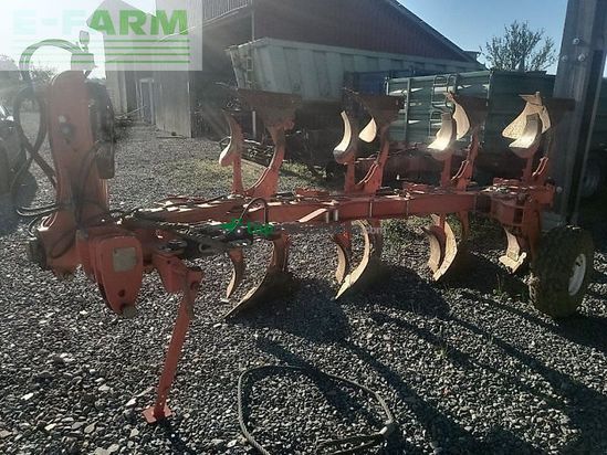 Arado - Maschio - unico 4+1 non stop