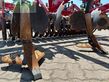 Cultivador - Horsch - terrano 3 fx