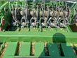 Empacadora gigant - Krone - big pack 1270 vc high speed