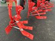 Arado - Maschio - unico m passo 4+ non stop