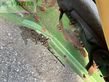 Cortacésped manual - Krone - active mow r 360