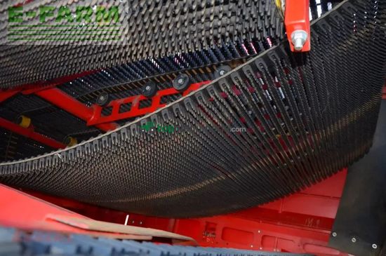 Cosechadora - arrancadora de patata - Grimme - evo 280 clodsep gen ii