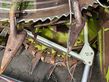 Cabezal - Claas - orbis 750