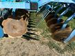 Grada de disco - Lemken - rubin 9/500 u