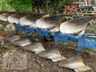 Arado - Lemken - vari-opal 141