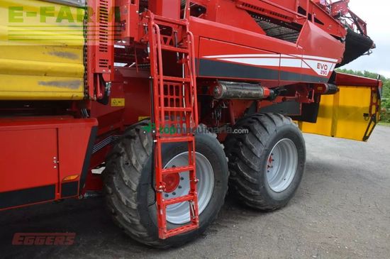 Cosechadora - arrancadora de patata - Grimme - evo 290 clodsep