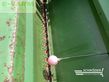 Sembradora - Amazone - ad 302 / kg 302