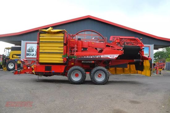 Cosechadora - arrancadora de patata - Grimme - evo 290 clodsep
