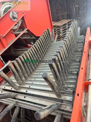 Cosechadora - arrancadora de patata - Grimme - se 75 - 40 ub