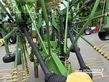 Rastrillo - Krone - swadro tc 880
