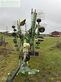 Rastrillo - Krone - swadro ts 740