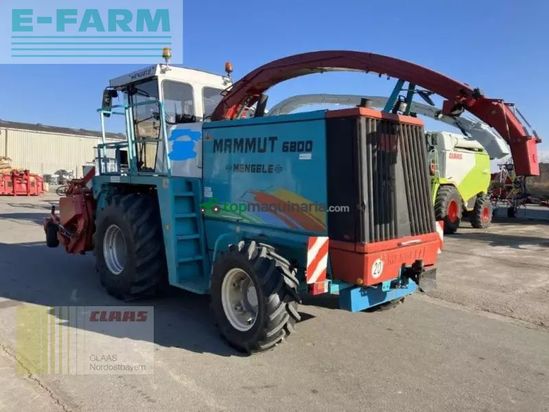 Cosechadora de Cereal - Mengele - gebr. mengele 6800 mammut