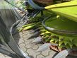 Cabezal - Claas - orbis 750