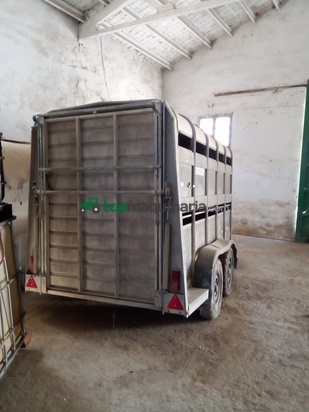 Transporte de ganado - Ifor Williams - TA5G106