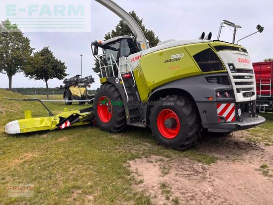 Cosechadora de Cereal - Claas - jaguar 980