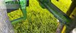 Cosechadora de Cereal - John Deere - 8500