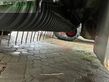 Empacadora gigant - Claas - quadrant 5300 fc + krassort sc 180