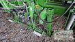 Sembradora monograno mecanica - Amazone - precea 6000-2 fcc super
