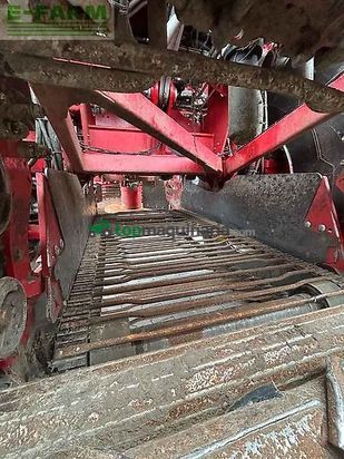 Cosechadora de Cereal - Grimme - rexor 6300 platinum