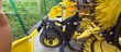 Cabezal - John Deere - 400F