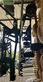 Rastrillo - Fendt - former1603