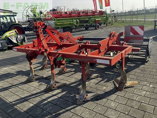 Cultivador - Maschio - flügelschargrubber