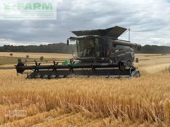 Cosechadora de Cereal - Massey Ferguson - ideal 8 pl