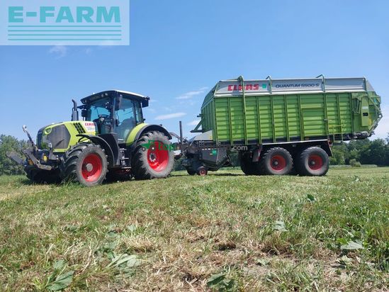 Cinta transportadora de forraje - Claas - quantum 5500 s