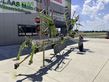 Rastrillo - Claas - liner 1550