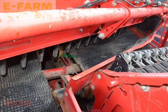 Cosechadora - arrancadora de patata - Grimme - evo 280 clodsep 17