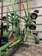 Rastrillo - Krone - swadro tc 680