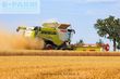 Cosechadora de Cereal - Claas - lexion 780 tt *allrad* + v1230