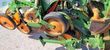 Sembradora monograno mecanica - Amazone - ed 451 k