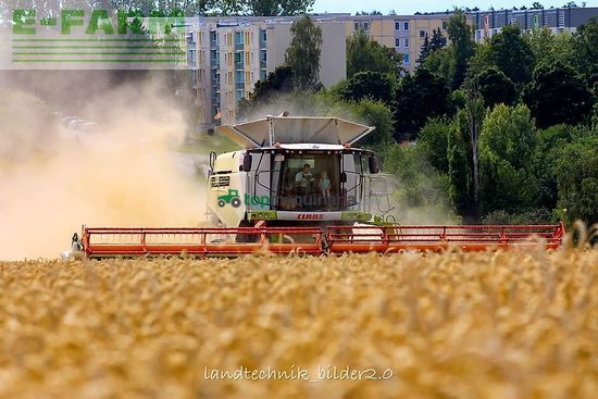 Cosechadora de Cereal - Claas - lexion 780 tt *allrad* + v1230