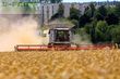 Cosechadora de Cereal - Claas - lexion 780 tt *allrad* + v1230