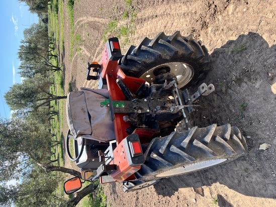 Mini tractor - Yanmar - F165