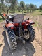Mini tractor - Yanmar - F165