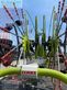Rastrillo - Claas - liner 2900
