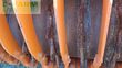 Grada rotativa - Amazone - ke 403/170