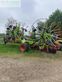 Rastrillo - Claas - liner 4800 business pro