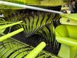 Empacadora gigant - Claas - rollant 255 rc uniwrap, presse