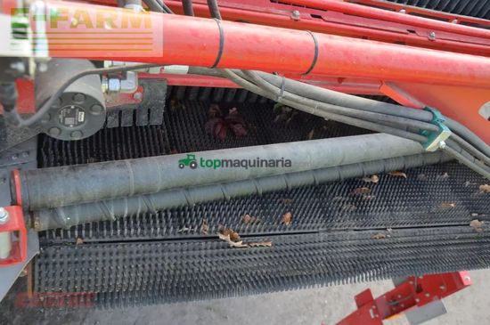 Cosechadora - arrancadora de patata - Grimme - se 260 ub