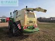 Cosechadora de Cereal - Krone - big x 770