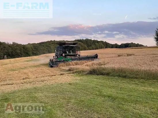 Cosechadora de Cereal - Massey Ferguson - ideal 8 pl