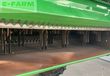 Cosechadora de Cereal - John Deere - T560