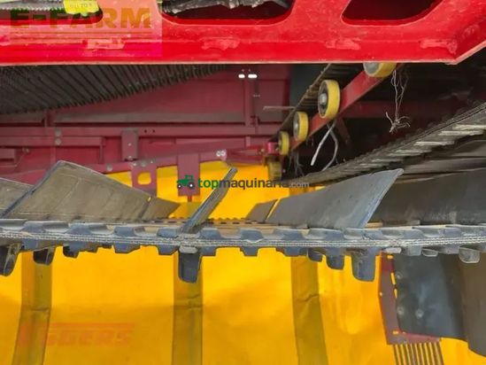 Cosechadora - arrancadora de patata - Grimme - evo 280 clodsep