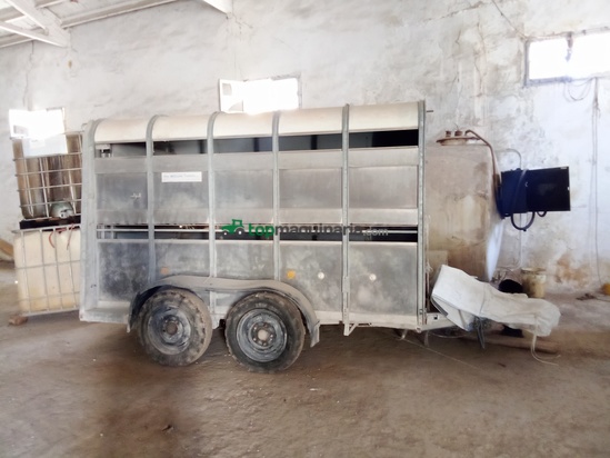 Transporte de ganado - Ifor Williams - TA5G106